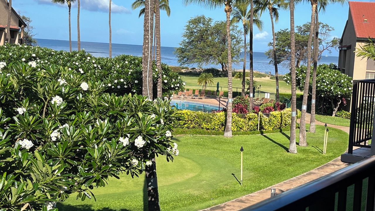 Photo of Others in Kihei