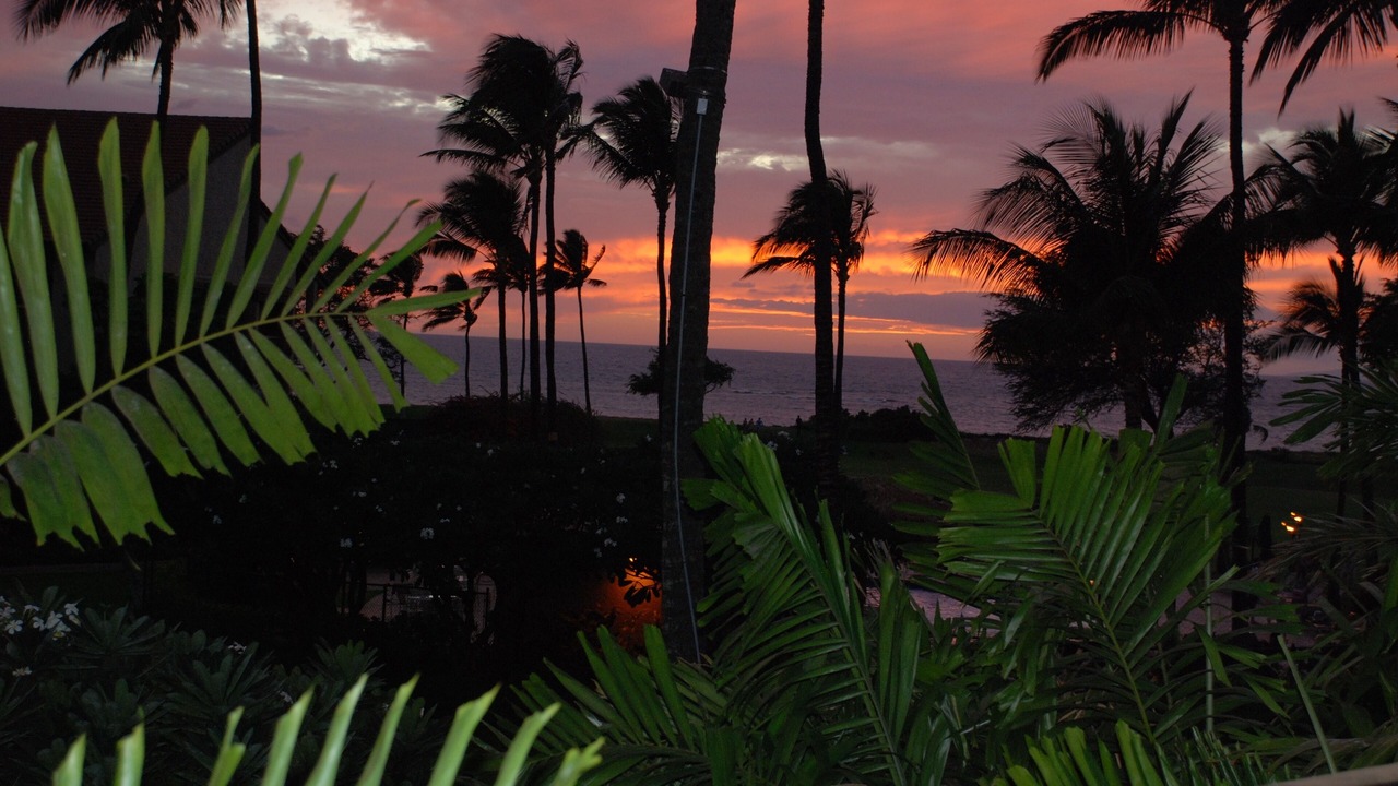 Photo of Others in Kihei
