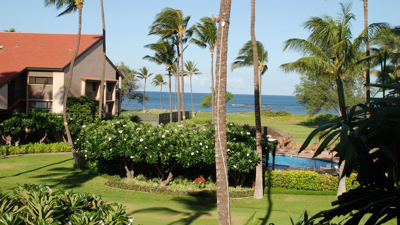 Photo of Others in Kihei