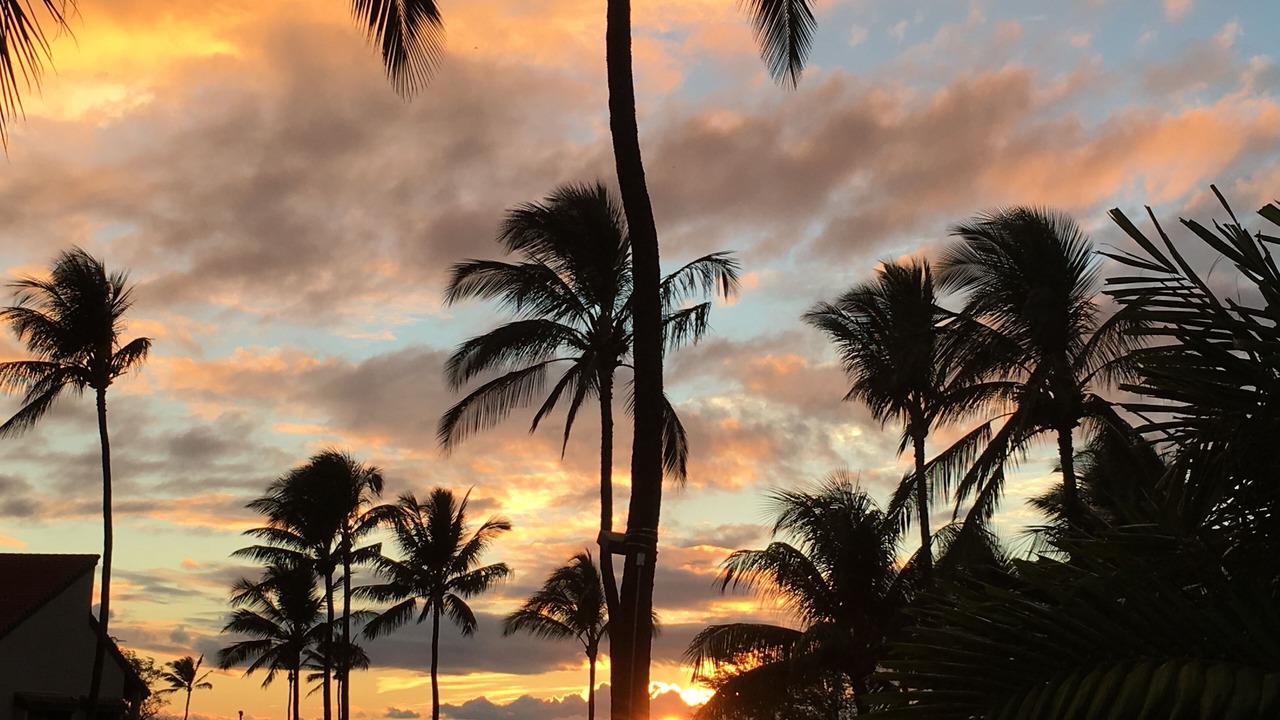 Photo of Others in Kihei