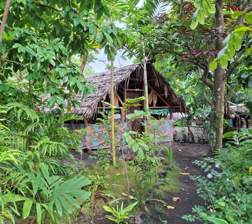Photo of Others in Tanna Island