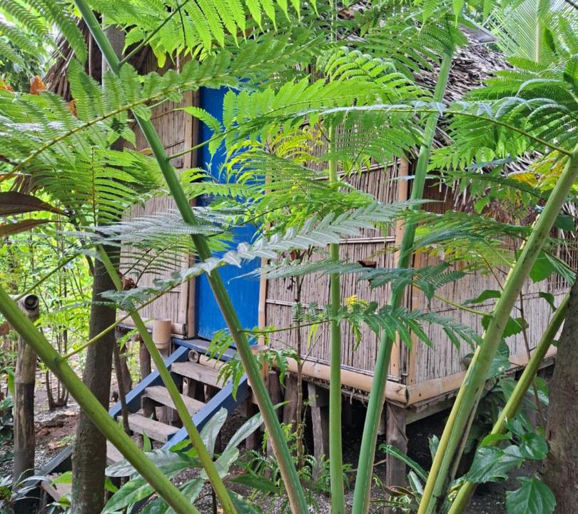 Photo of Others in Tanna Island