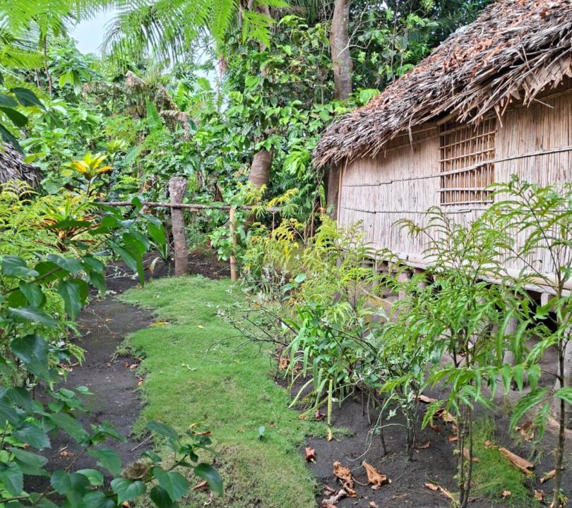 Photo of Others in Tanna Island