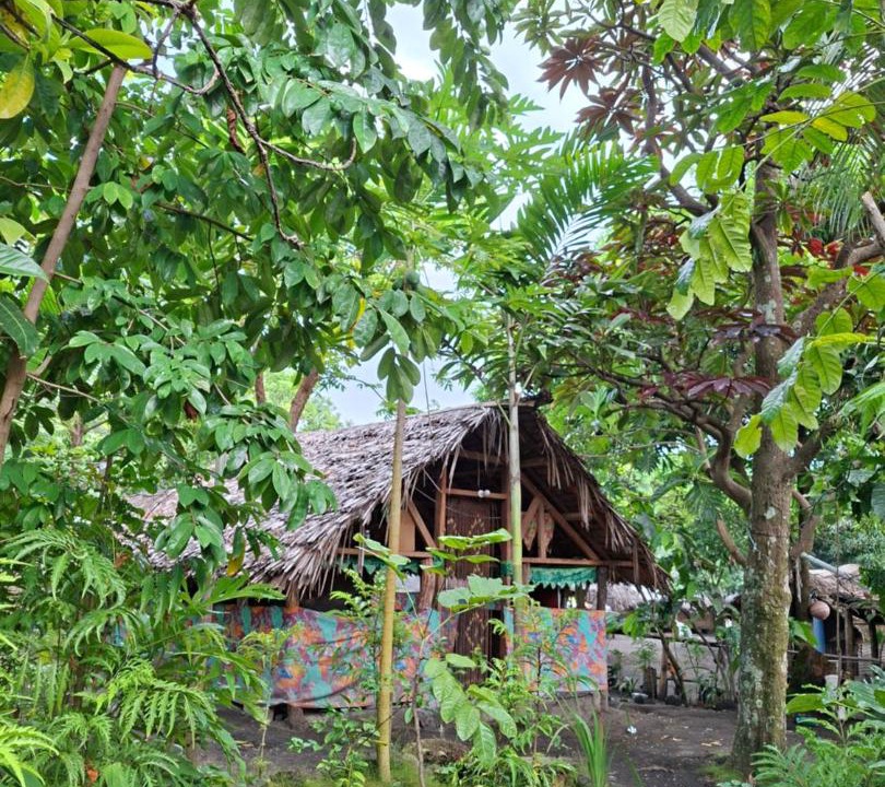 Photo of Others in Tanna Island