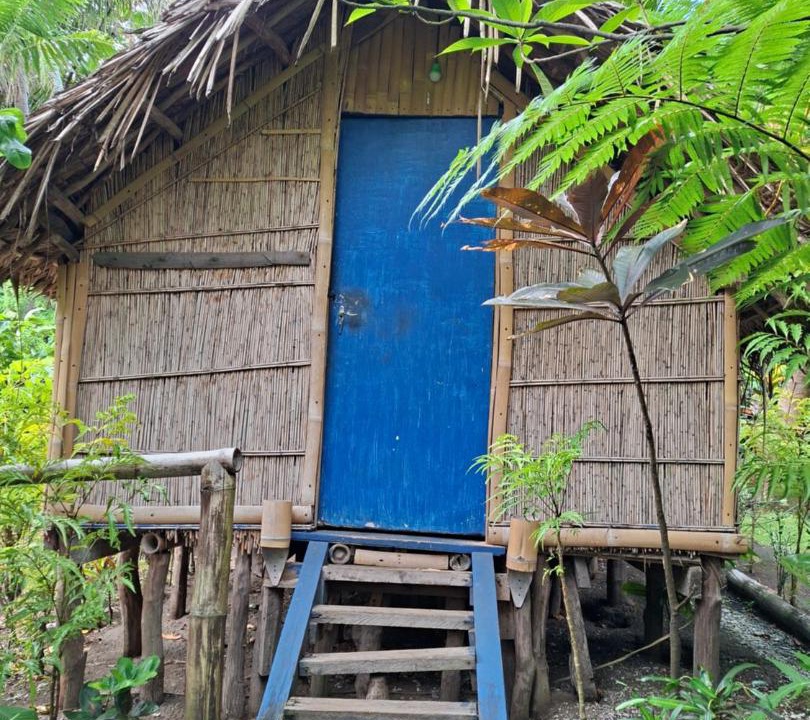 Photo of Others in Tanna Island