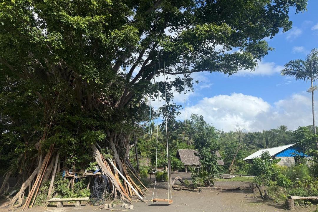 Photo of Others in Tanna Island
