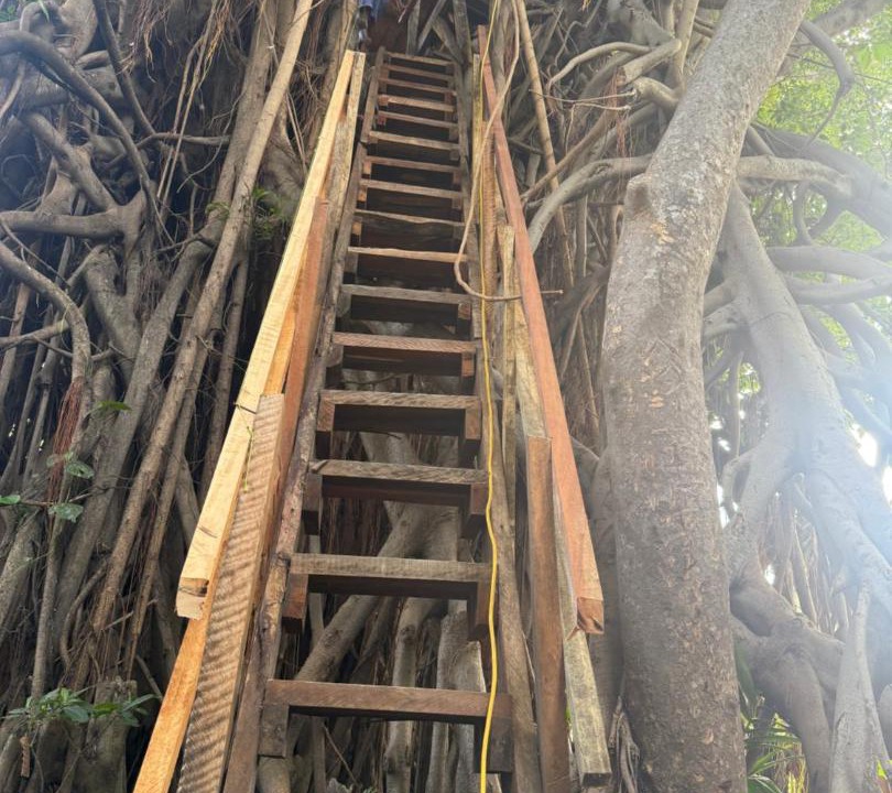 Photo of Others in Tanna Island