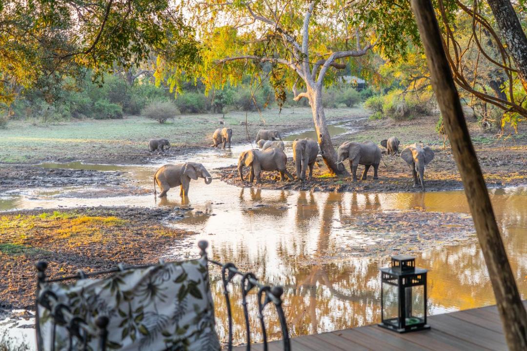 Photo of Others in South Luangwa National Park