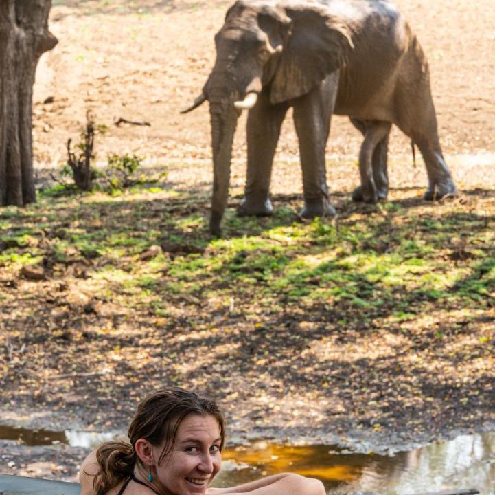 Photo of Others in South Luangwa National Park
