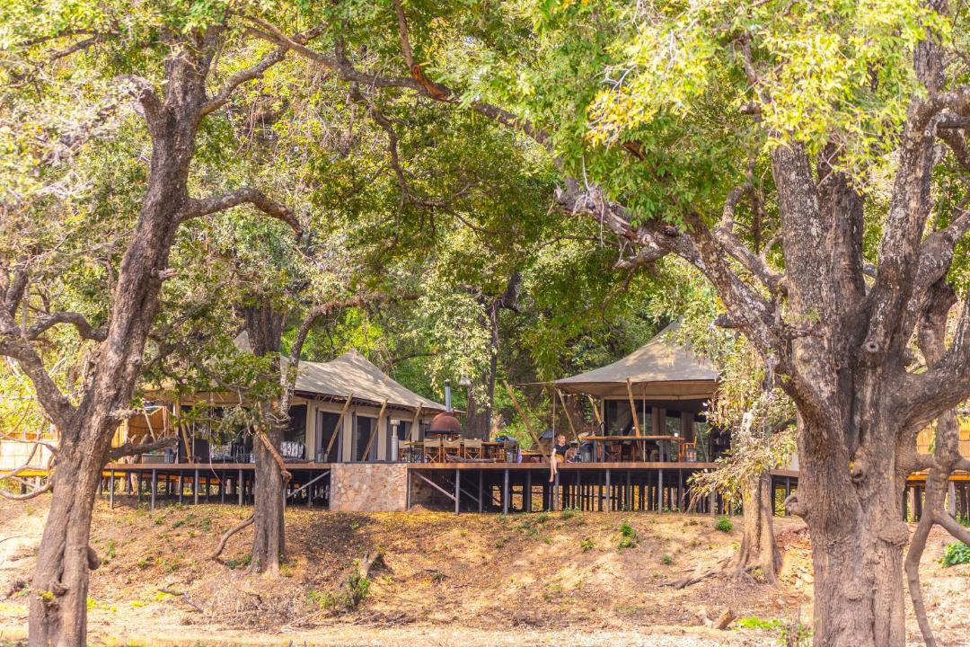 Photo of Others in South Luangwa National Park