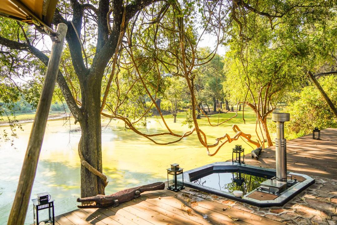 Photo of Others in South Luangwa National Park