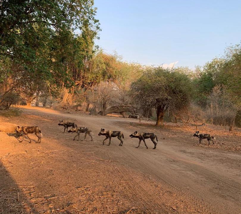 Photo of Others in Lusaka Province