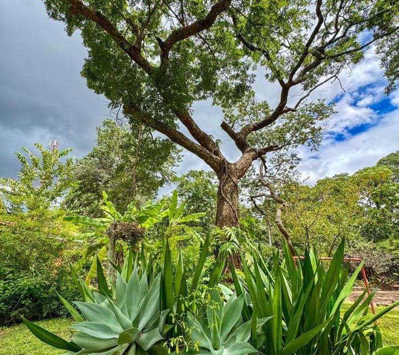 Photo of Outdoor in Harare East