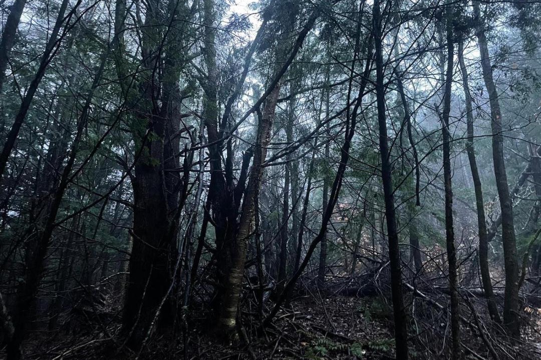Photo of Others in Amherst
