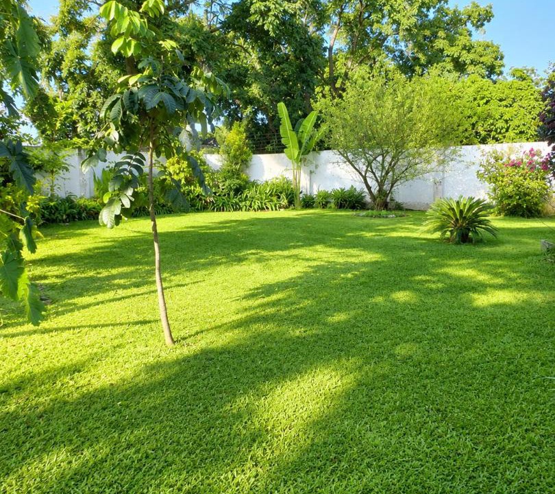 Photo of Others in Lusaka