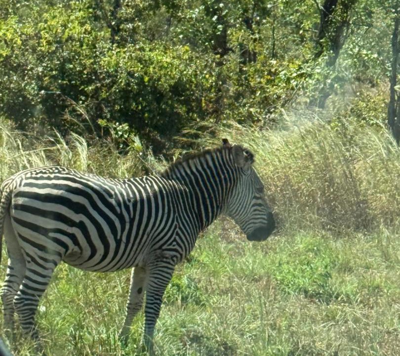 Photo of Others in Kariba