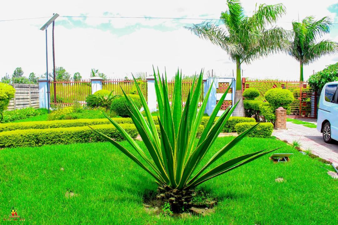 Photo of Outdoor in Harare