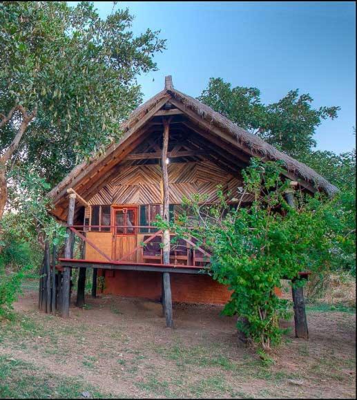 Photo of Others in South Luangwa National Park