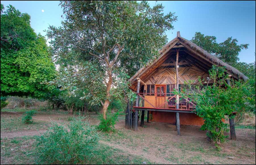 Photo of Others in South Luangwa National Park