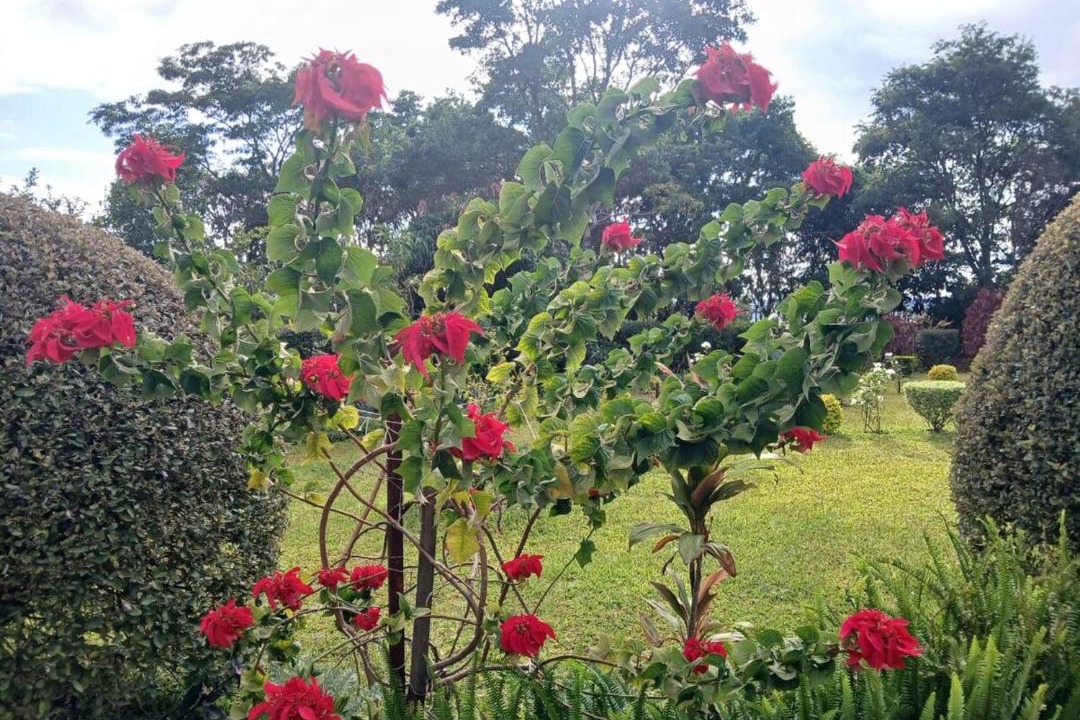 Photo of Outdoor in Harare East