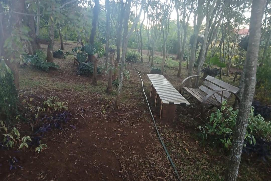 Photo of Others in Harare East