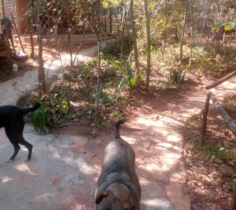 Photo of Others in Masvingo