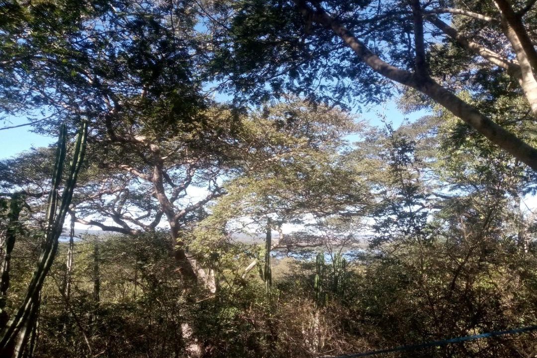 Photo of Outdoor in Masvingo