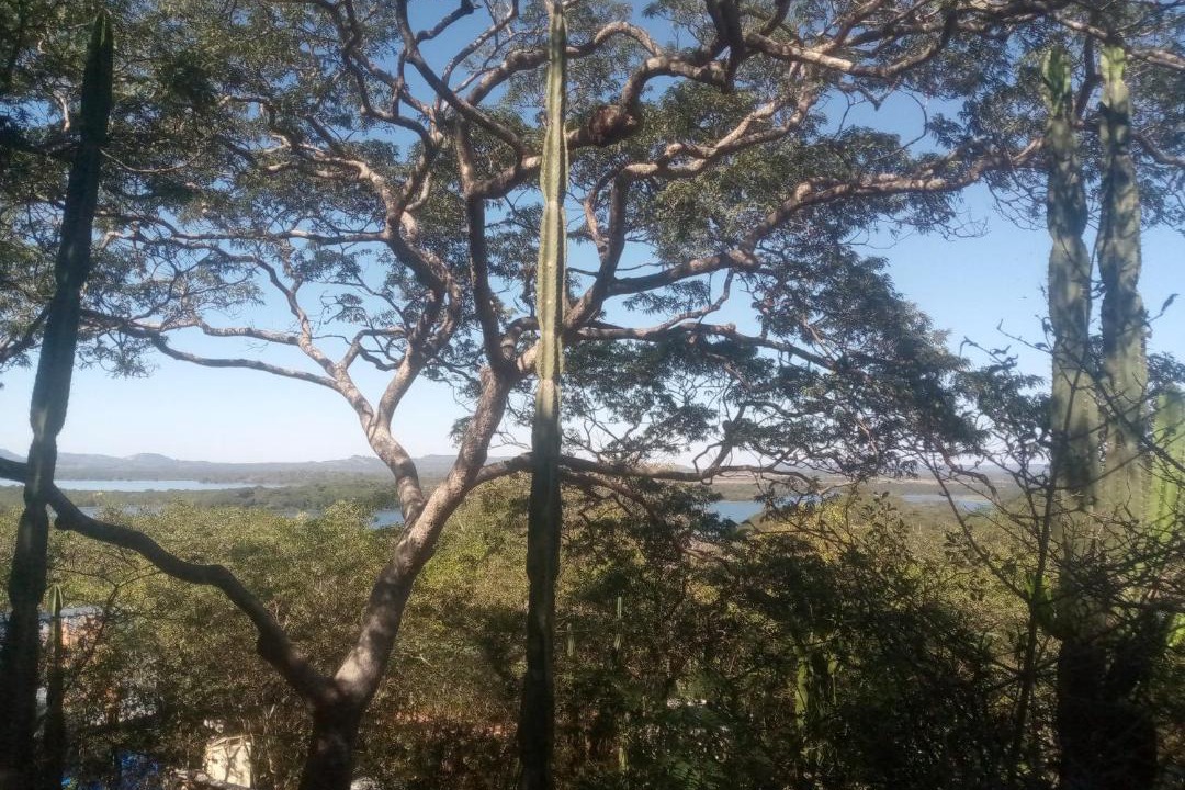 Photo of Others in Masvingo