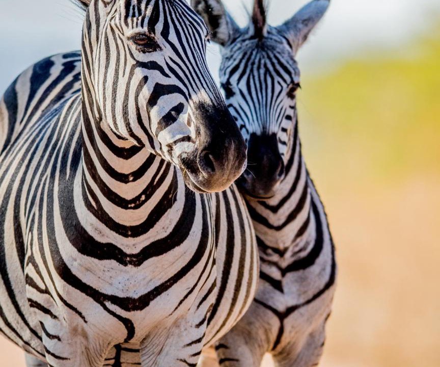 Photo of Others in Victoria Falls