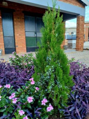 Photo of Outdoor in Bulawayo