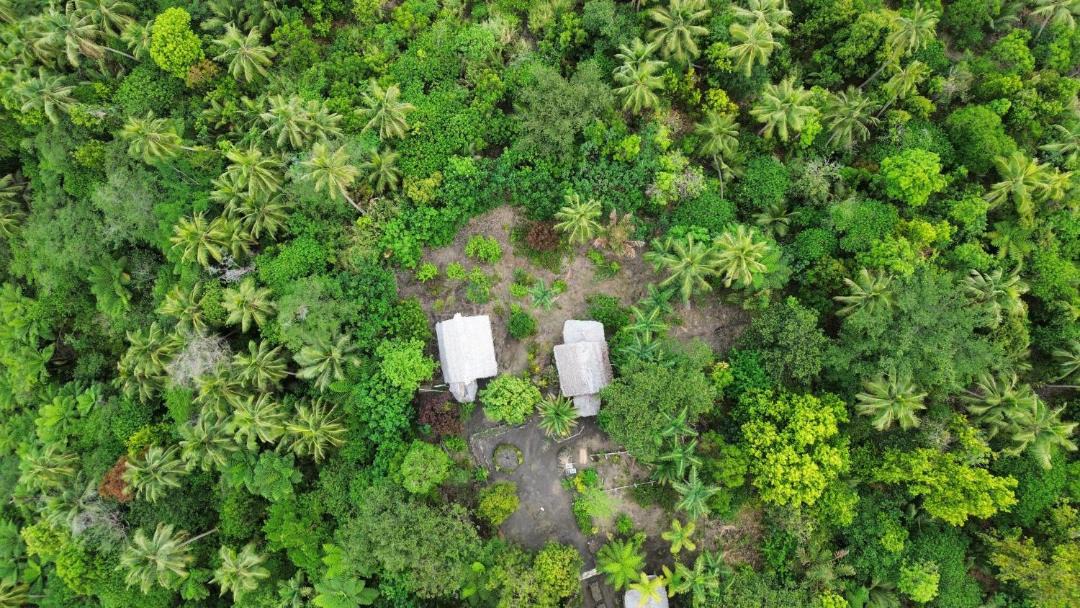 Photo of Others in Tanna Island