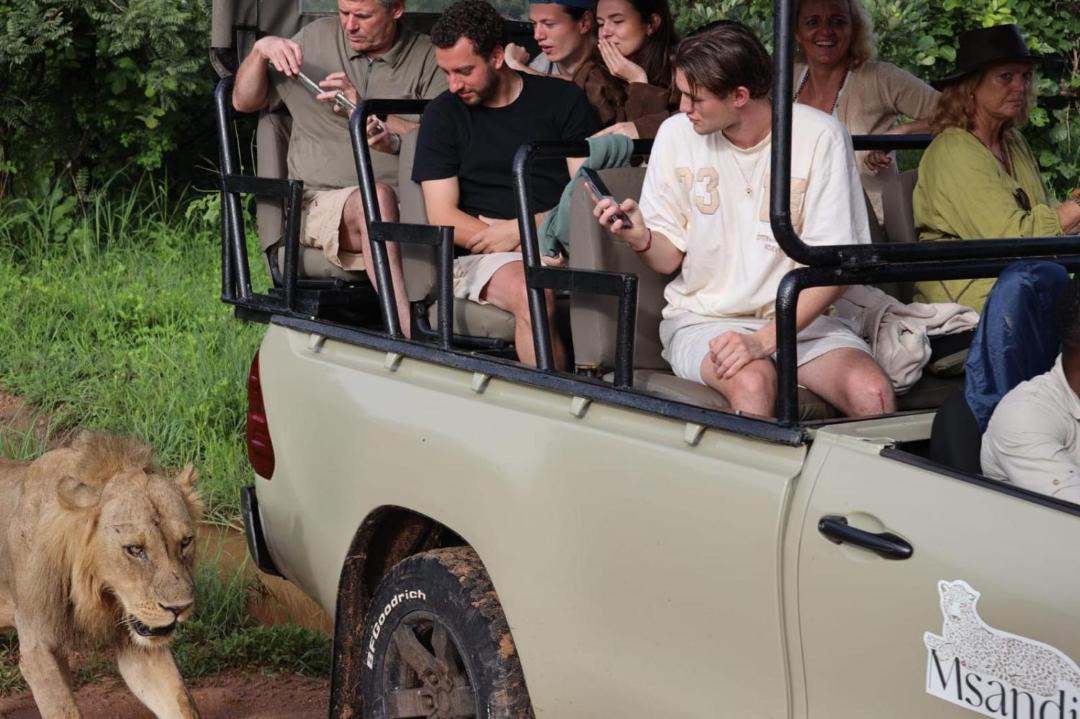 Photo of Others in South Luangwa National Park