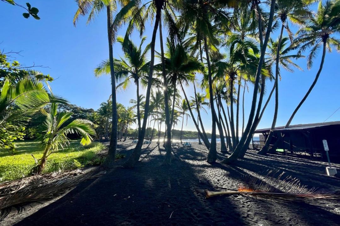 Photo of Others in Punaluu
