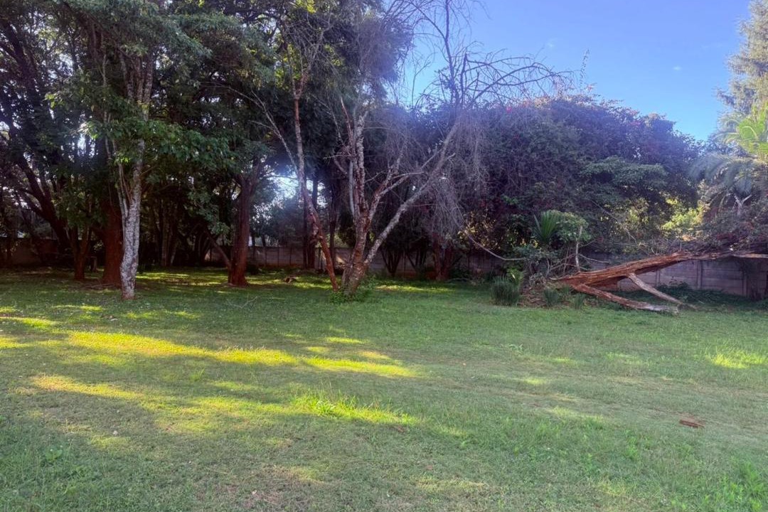 Photo of Others in Ryelands