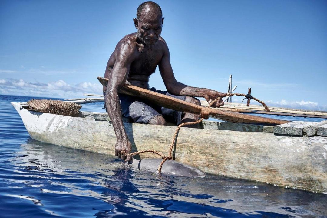 Photo of Human In Picture in Konge