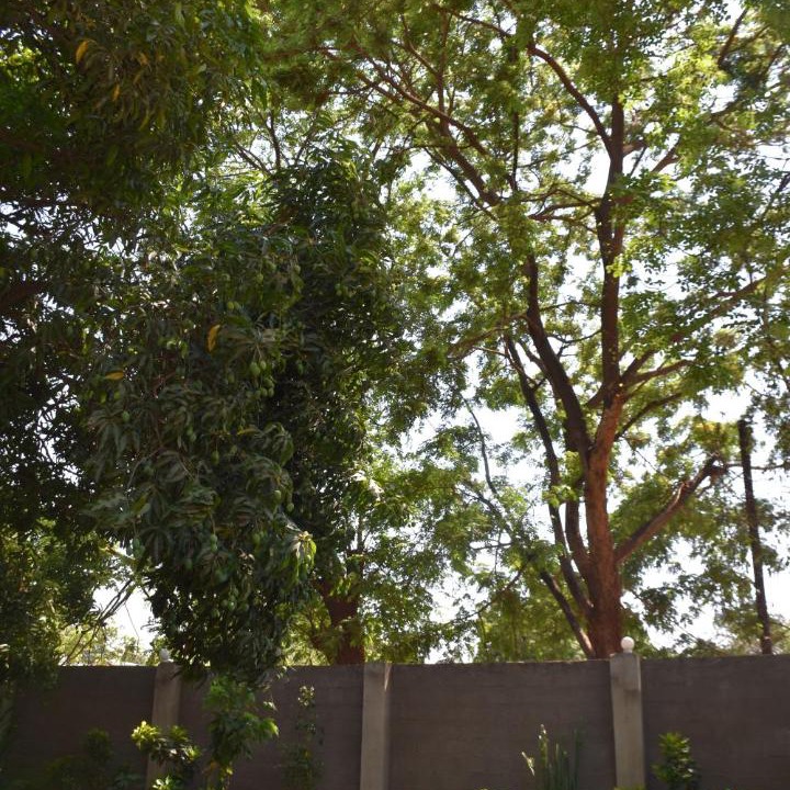 Photo of Others in Livingstone