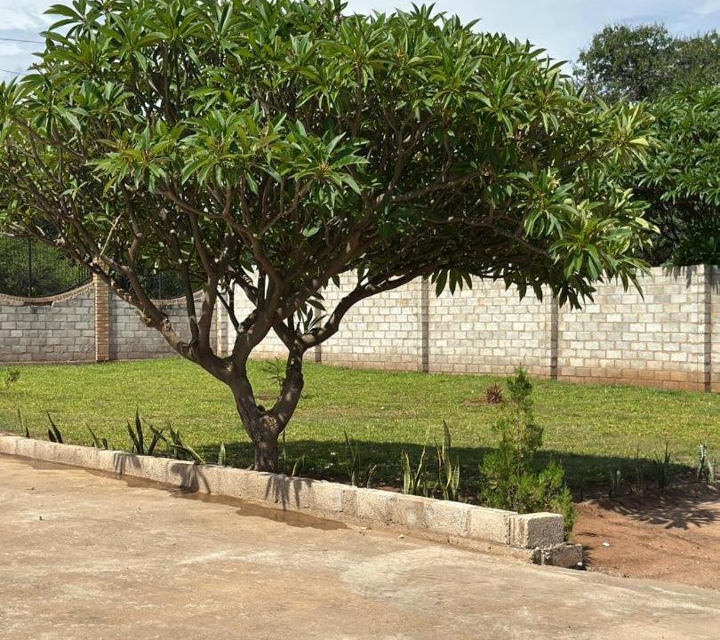 Photo of Outdoor in Livingstone