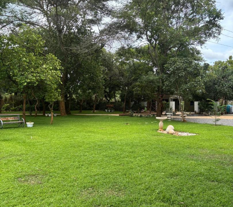 Photo of Others in Lusaka