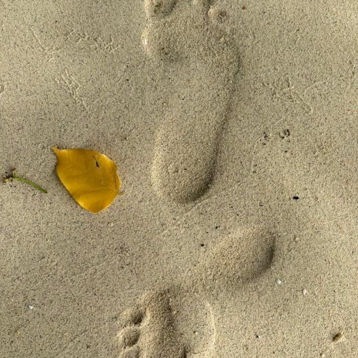 Photo of Others in Kokopo