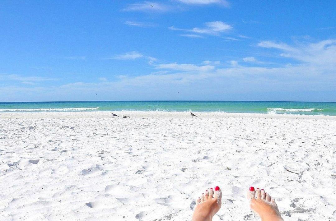 Photo of Others in Siesta Key