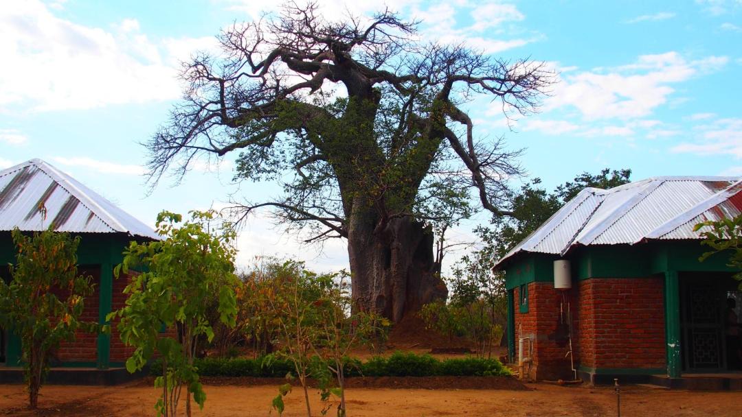 Photo of Others in Kakumbi
