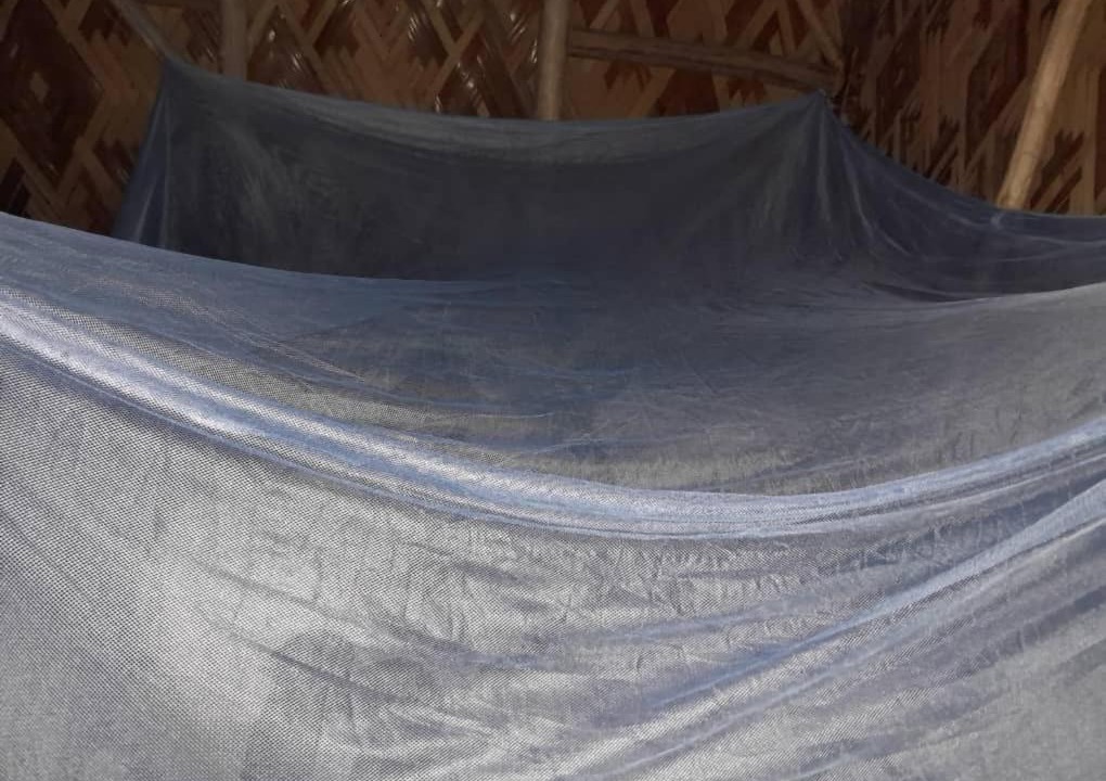 Photo of Others in Momase Region