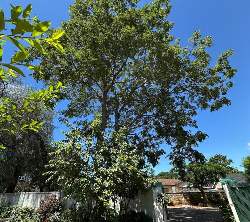 Photo of Outdoor in Bulawayo