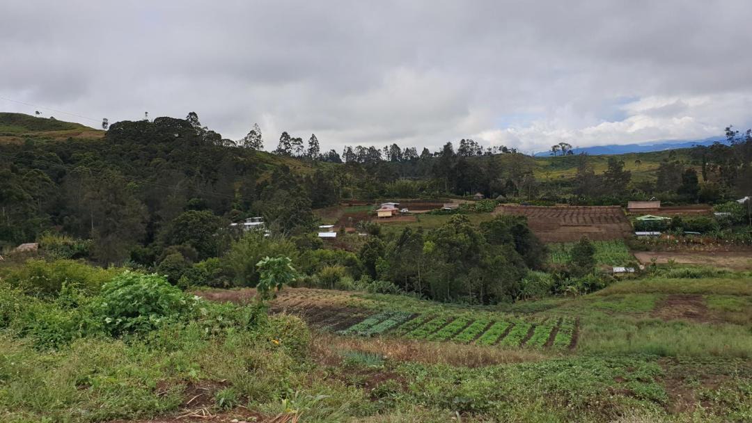 Photo of Others in Highlands Region