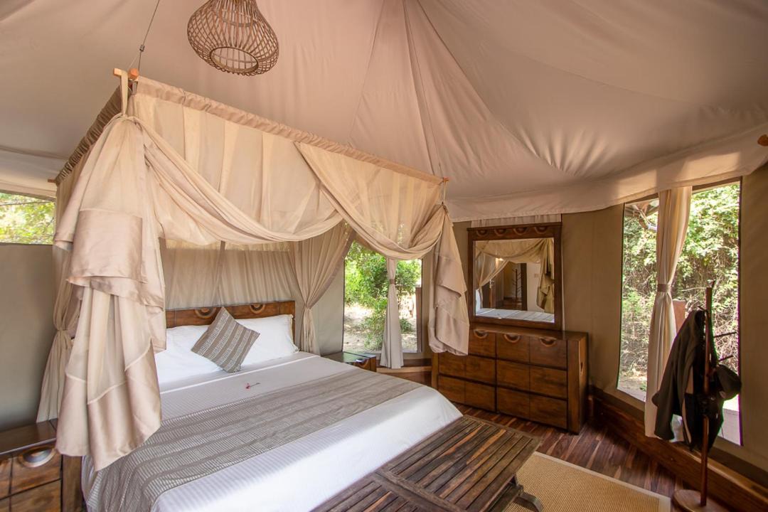 Photo of Others in South Luangwa National Park