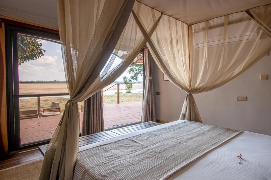 Photo of Others in South Luangwa National Park