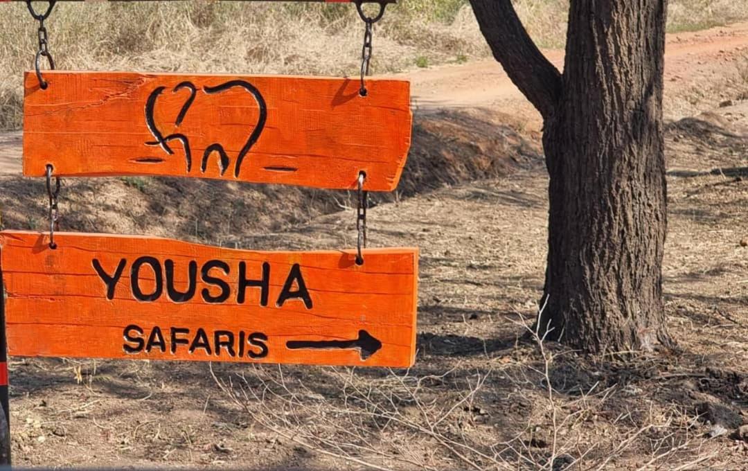 Photo of Others in South Luangwa National Park