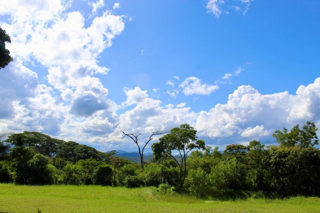 Photo of Others in Mutare