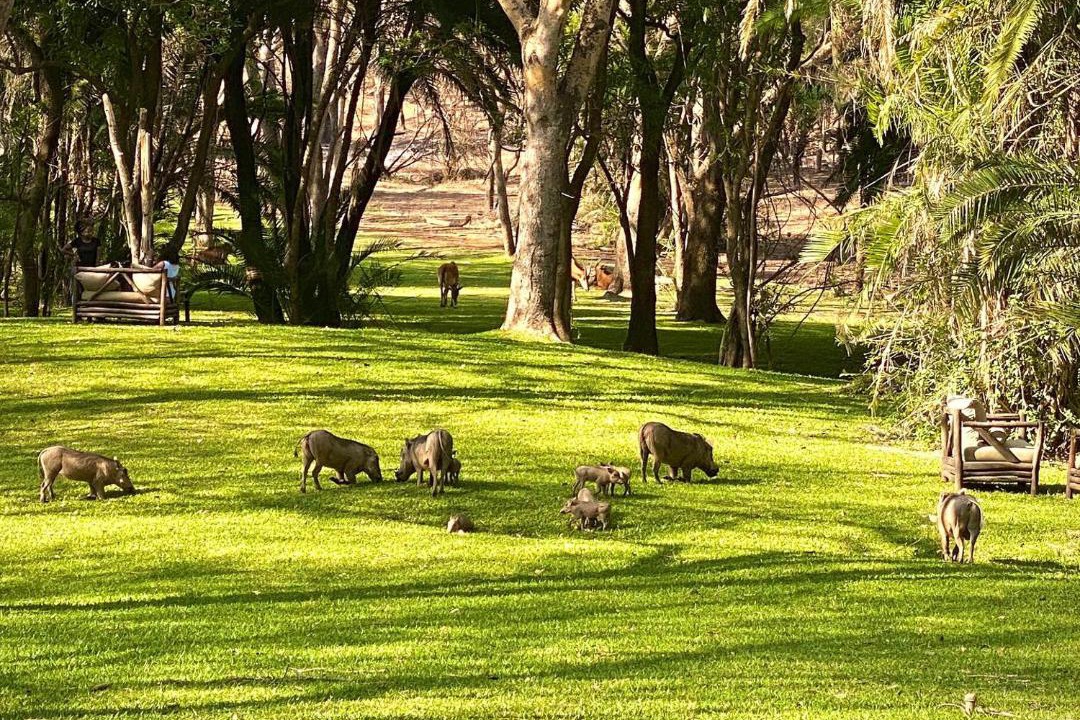 Photo of Others in Lusaka