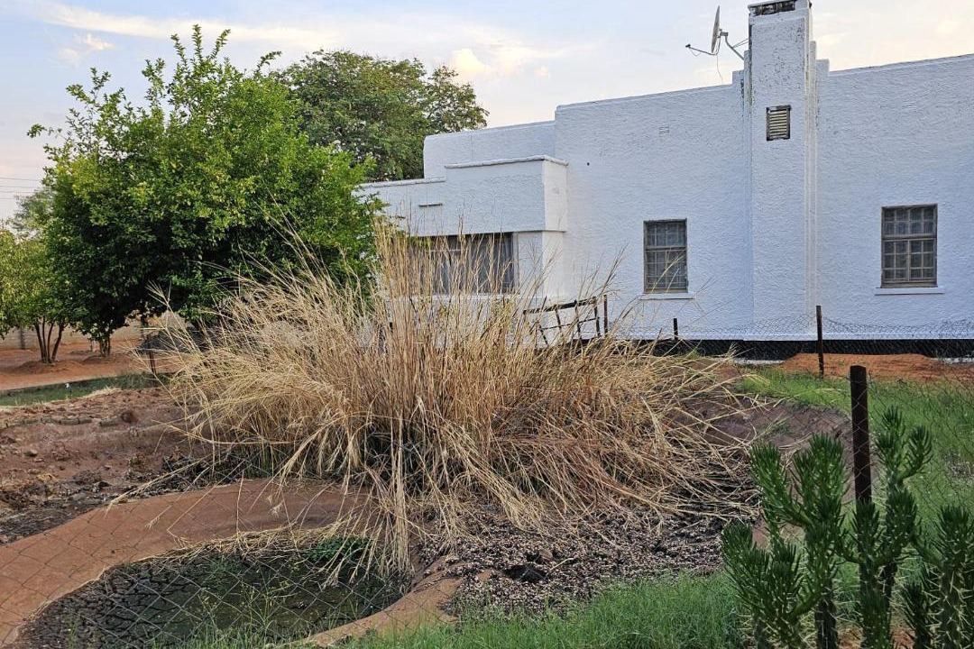 Photo of Others in Livingstone